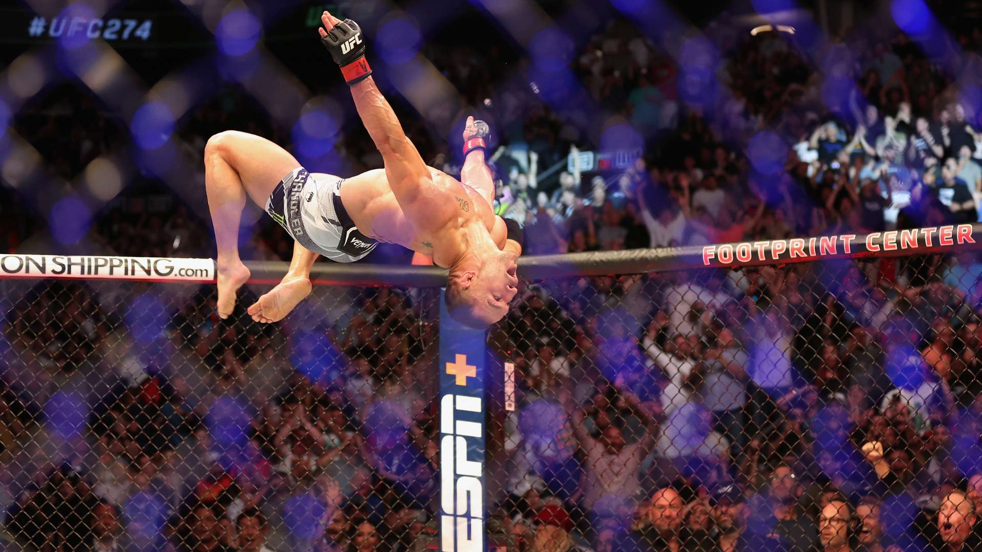 明星技术分 明星技术分