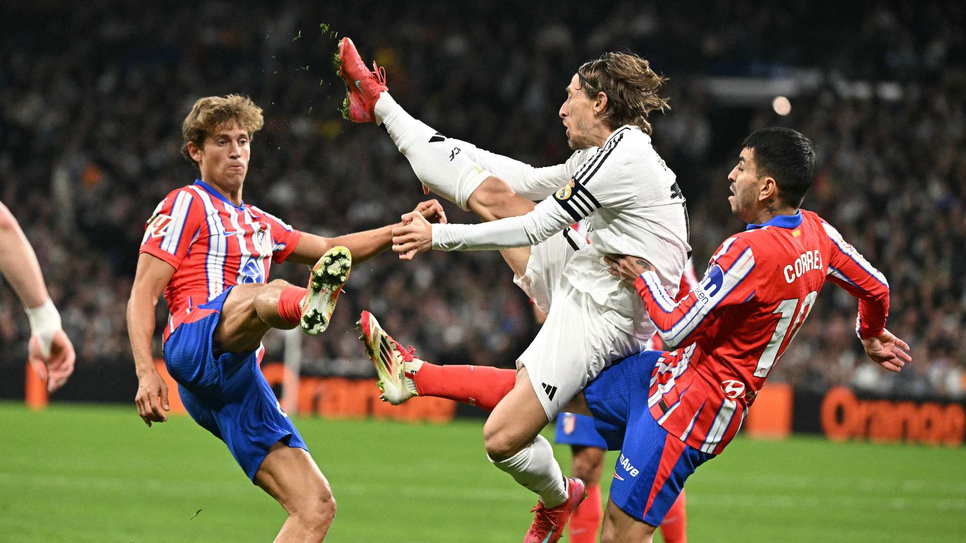 这样的活动 这样的活动